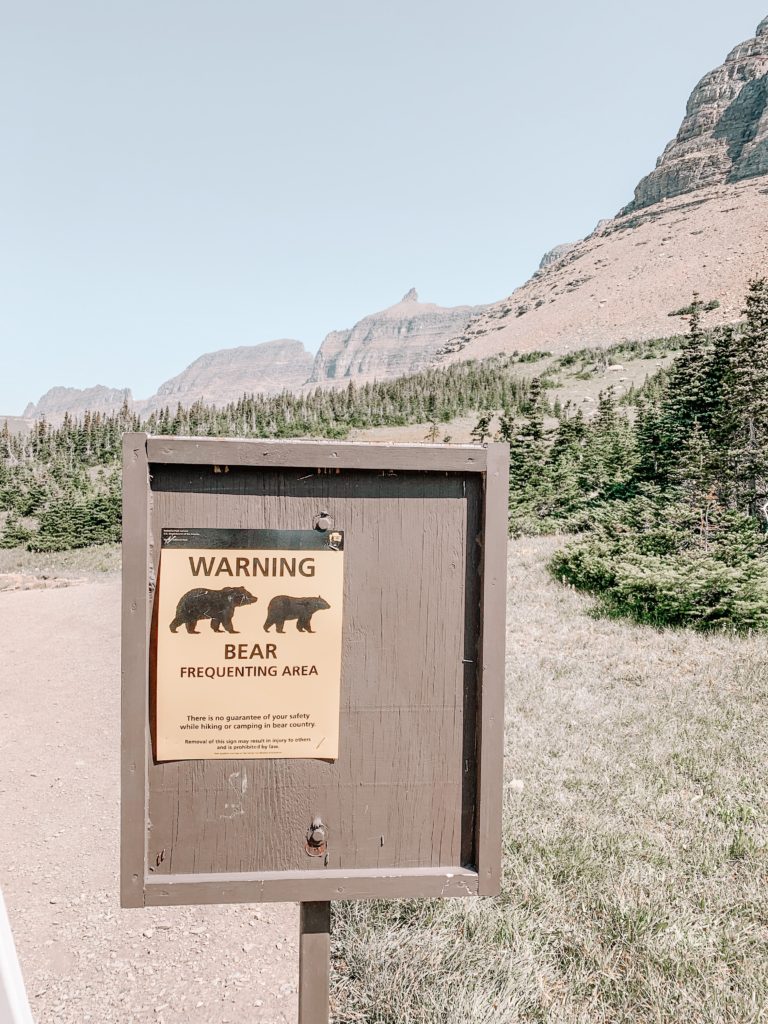 glacier national park